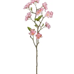 Apfelblütenzweig APFELBLÜTE-Gasper Sale