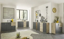 Bahut BC 1040-Bega Consult Online