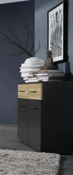 Bahut BOSTON EXTRA-Rauch Discount