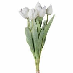 Bouquet de 5 tulipes TULPE-Gasper Online