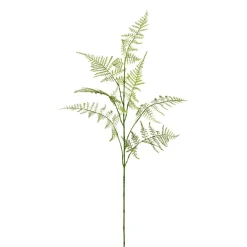 Branche d'asparagus FLOWERS-Gasper Online
