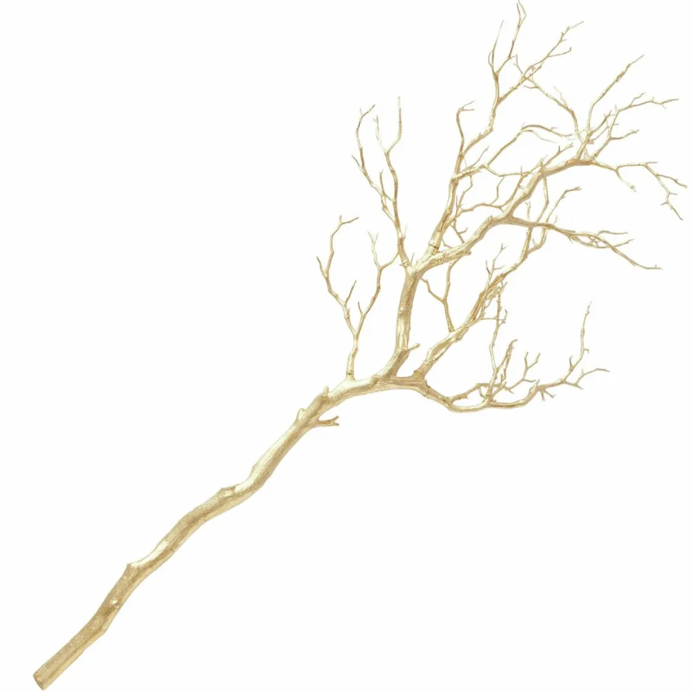 Branche décorative ASTRA