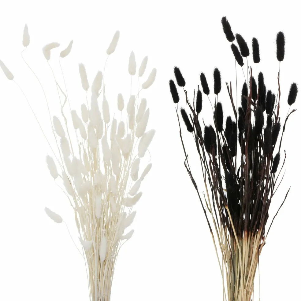 Branche décorative SAMTGRAS