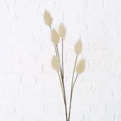 Branche décorative SAMTGRAS