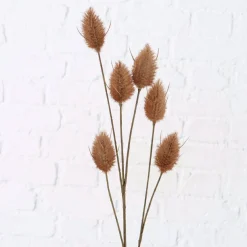 Branche décorative SAMTGRAS