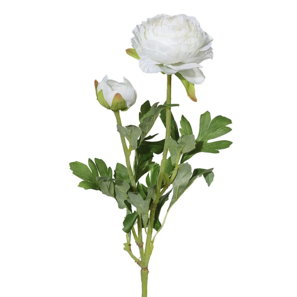 Branche de renoncule RANUNKEL