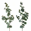 Branche d'eucalyptus FLOWERS-Boltze New