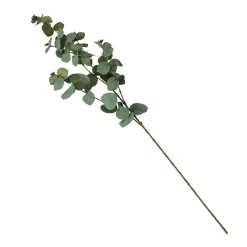 Branche d'eucalyptus FLOWERS-Boltze New