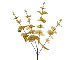 Branche d'eucalyptus FLOWERS-Kaemingk Best