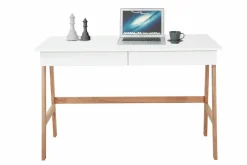 Bureau LÖWEN-Möbilia Online