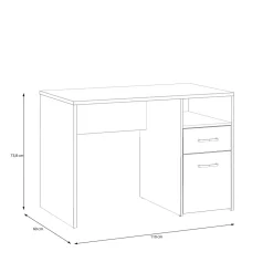 Bureau PALDISKI-Forte Clearance