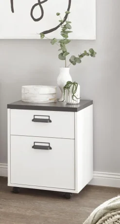 Caisson à roulettes SHERWOOD-IMV