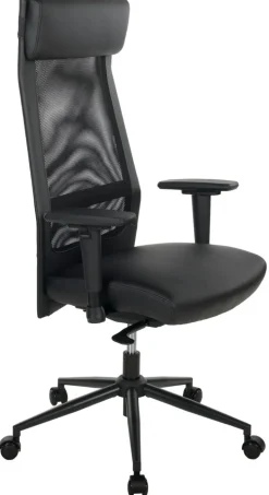 Chaise de bureau AUERBERG-Duo Hot