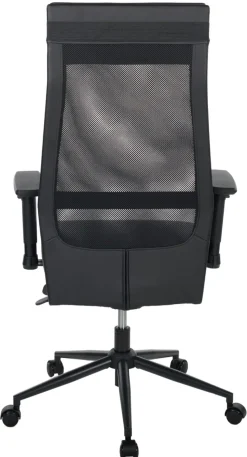 Chaise de bureau AUERBERG-Duo Hot