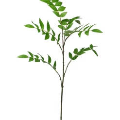 Ebereschezweig EBERESCHE