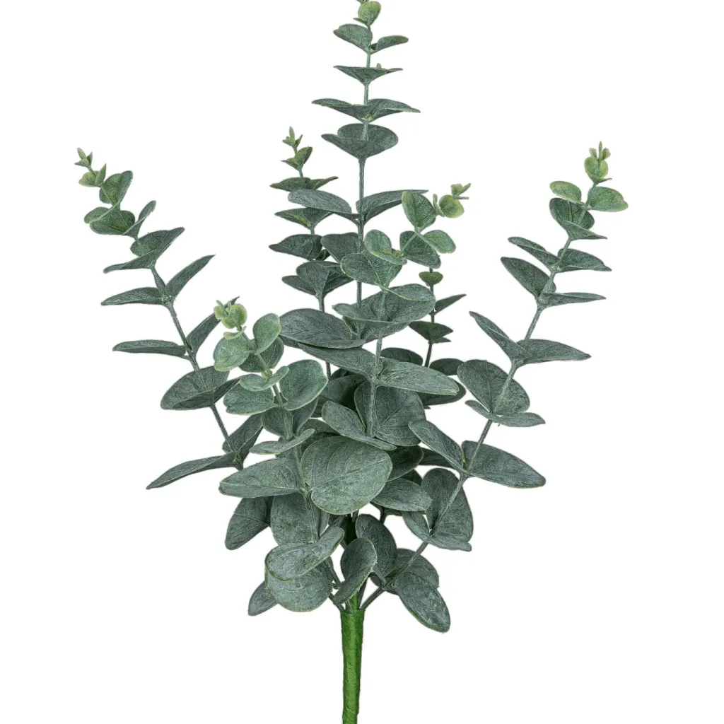 Eukalyptusbusch EUKALYPTUS-Gasper New