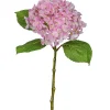 Hortensia FLOWERS-Gasper Outlet
