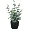Kunstpflanze im Topf EUKALYPTUS-Gasper New