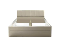 Lit CARANO-Pol-Power Best