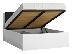 Lit LYON WEISS-Wojcik New