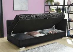 Méridienne DANA-JOB Online