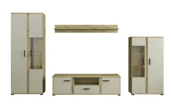 Mur TV KANADA-Bega Consult Clearance