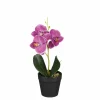 Orchidée mauve en pot 25cm ORCHIDEE-Edelman