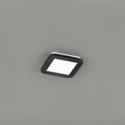 Plafonnier LED CAMILLUS