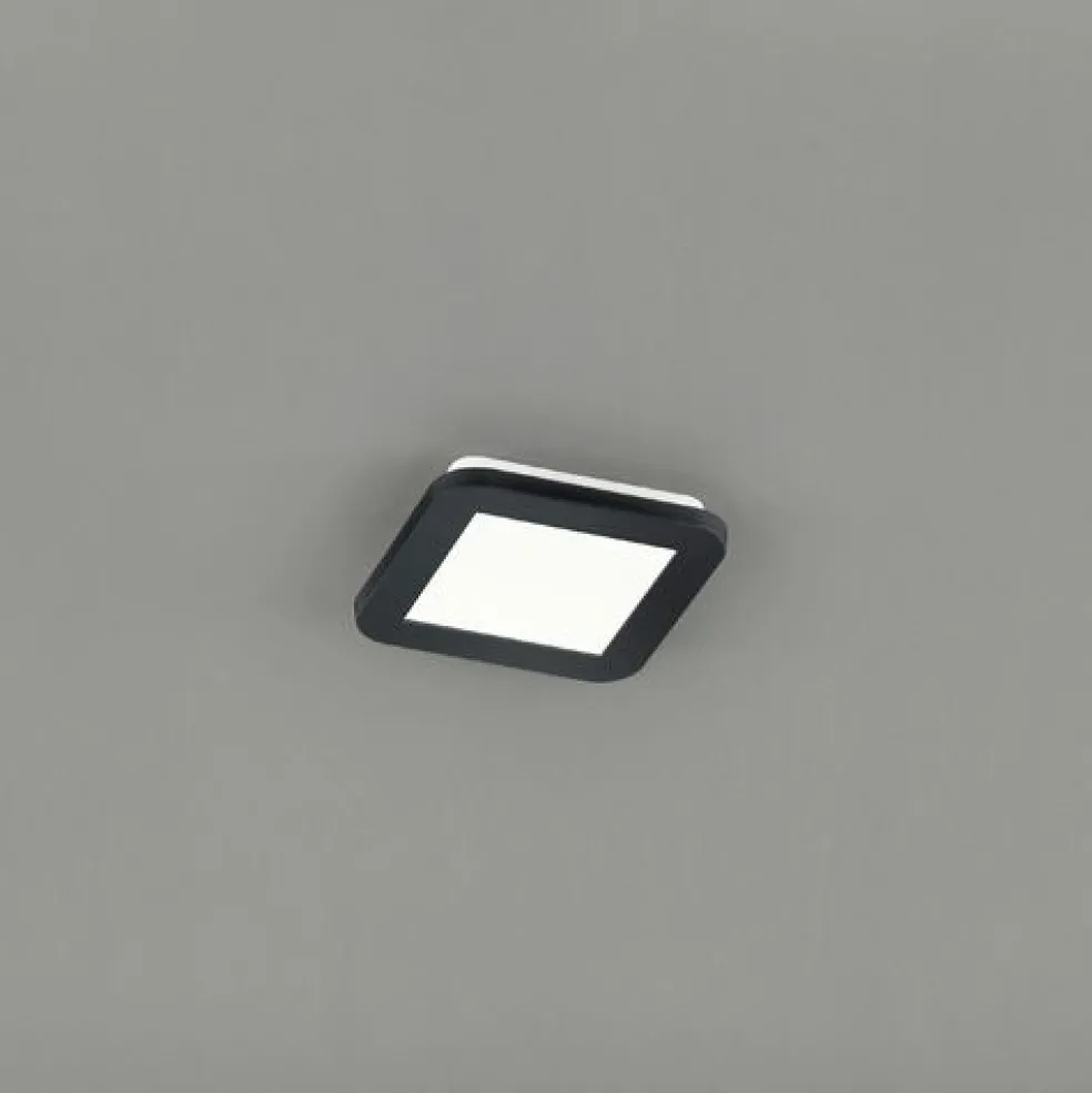 Plafonnier LED CAMILLUS