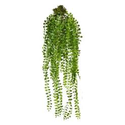 Plante artificielle COLUMNEA