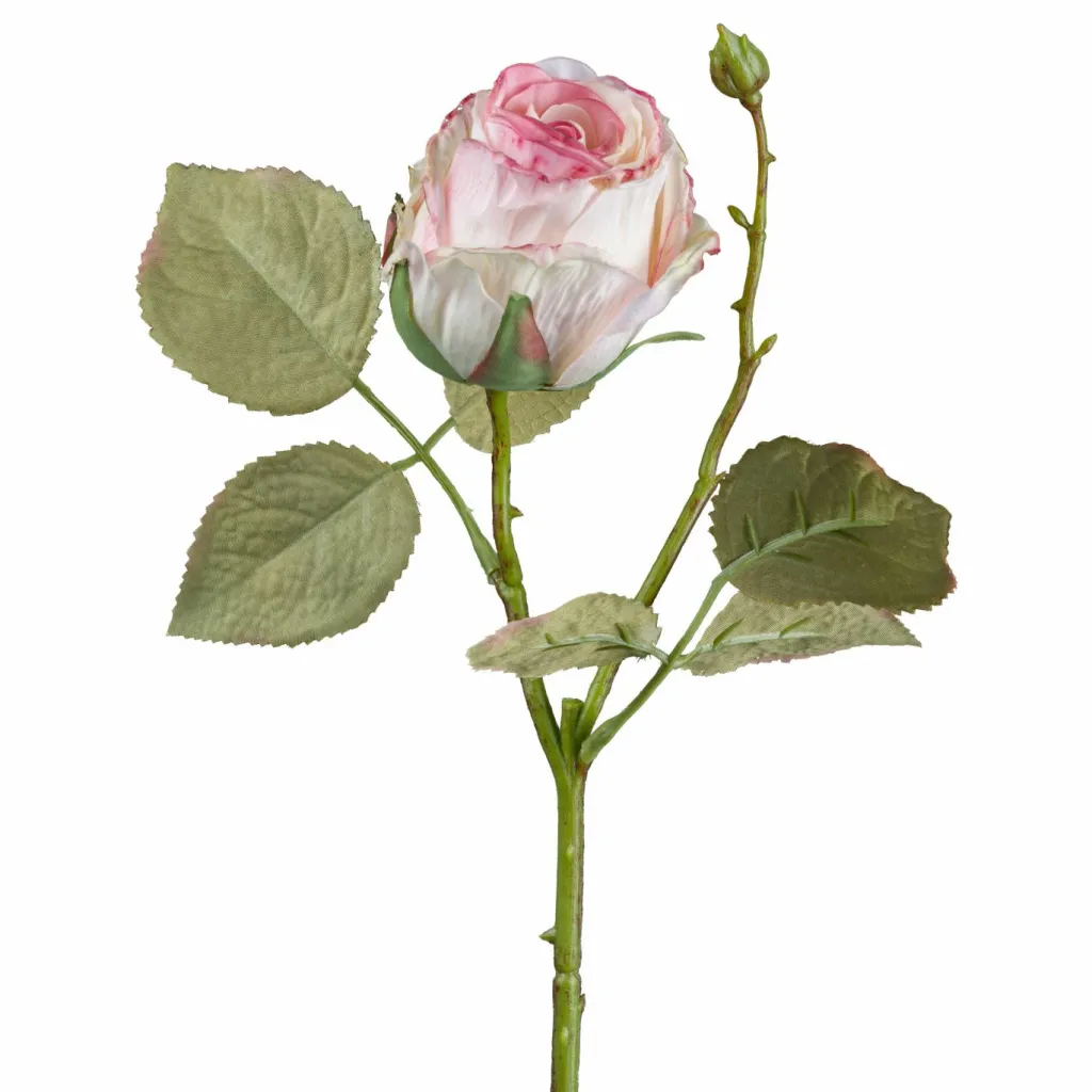 Rose décorative VINTAGE ROSE-Gasper Hot