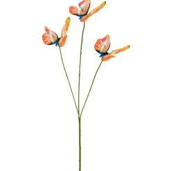 Schmetterlingszweig SCHMETTERLING-Gasper Online