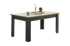 Table de repas CATANIA-IMV