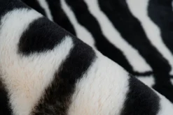 Tapis RABBIT ANIMAL 400-Kayoom Clearance