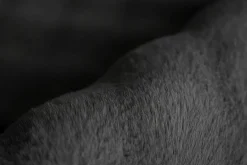 Tapis HAILEY 125-Kayoom