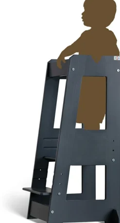 Tour d'observation FELIX