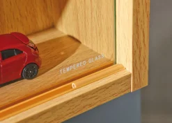 Vitrine pour collections ACQUARIO-Inter Link